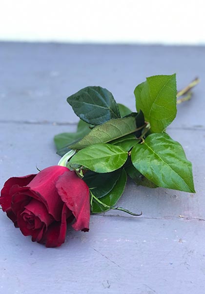 Beställ blommor till begravning i Lund