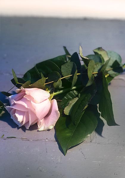 Beställ blommor till begravning i Lund